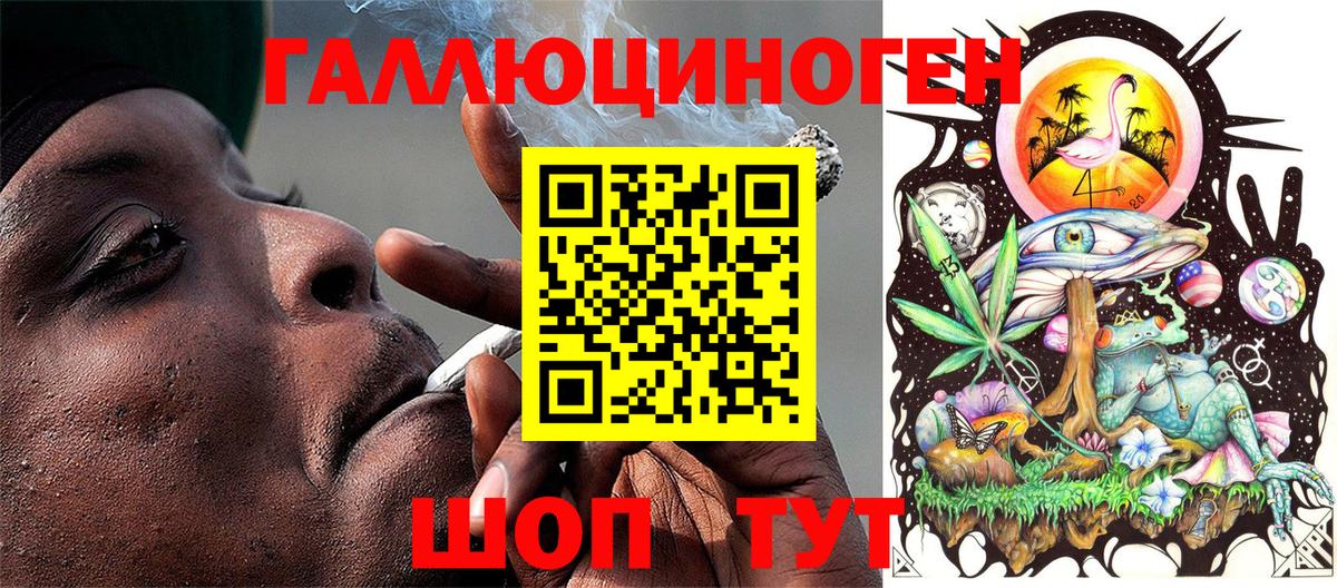 Псилоцибиновые грибы Cubensis Среднеуральск